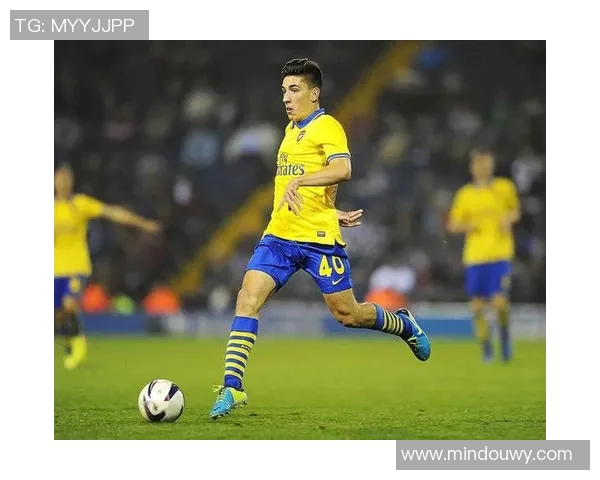 足球明星波波：从球场奇迹到生活哲学的多维探索