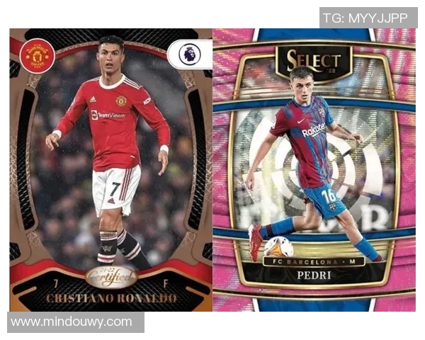 足球帕尼尼球星卡册收藏指南 玩转球场历史与珍稀卡片的魅力