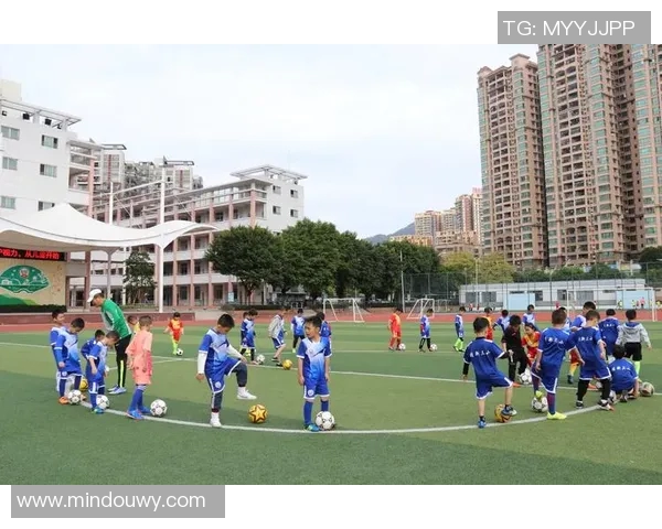 中国少儿足球星之队崛起 揭秘青少年足球未来新希望